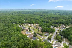 97 Arbor Trce, Braselton, GA 30517 - Photo 51