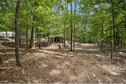 4751 Bill Cheek Road, Auburn, GA 30011 - Photo 73