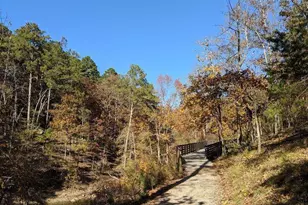 10 Altar Rock Ct NE, Cartersville, GA 30121 - Photo 133