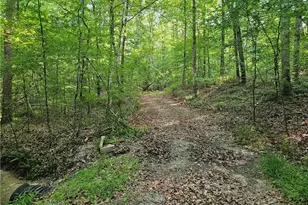 0 Ponderosa Trail, Dallas, GA 30132 - Photo 9