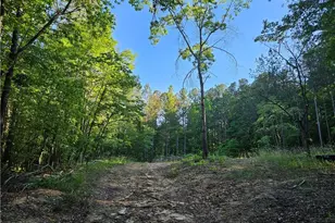 0 Ponderosa Trail, Dallas, GA 30132 - Photo 11