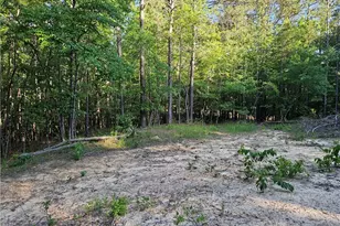 0 Ponderosa Trail, Dallas, GA 30132 - Photo 13