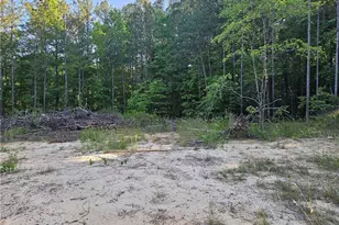 0 Ponderosa Trail, Dallas, GA 30132 - Photo 13