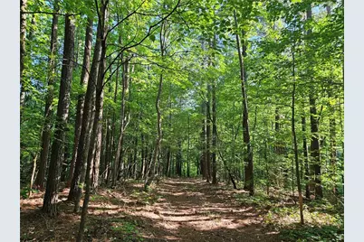 0 Ponderosa Trail, Dallas, GA 30132 - Photo 7