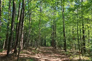 0 Ponderosa Trail, Dallas, GA 30132 - Photo 7