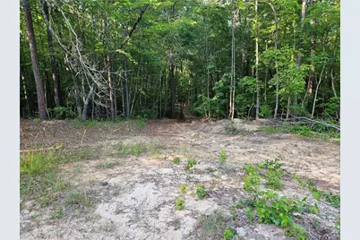 0 Ponderosa Trail, Dallas, GA 30132 - Photo 11