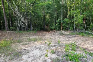 0 Ponderosa Trail, Dallas, GA 30132 - Photo 11