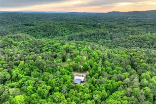 819 Hap Holt Rd, Ellijay, GA 30540 - Photo 83