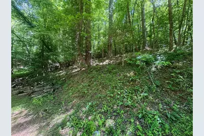 0 Bible Baptist Road, Ellijay, GA 30536 - Photo 3