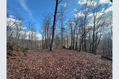 200 Mincey Acres Drive, Murrayville, GA 30564 - Photo 1