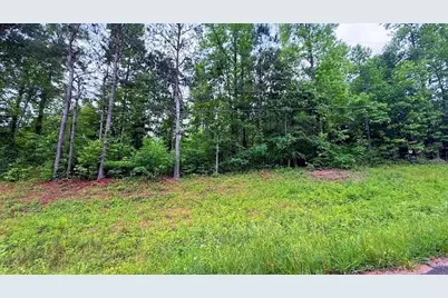 0 Largent Trail, Tallapoosa, GA 30176 - Photo 5