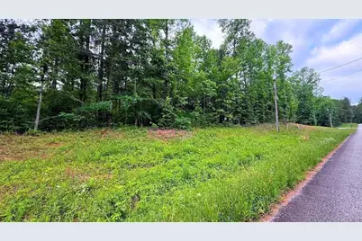 0 Largent Trail, Tallapoosa, GA 30176 - Photo 3