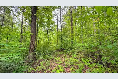 0 Largent Trail, Tallapoosa, GA 30176 - Photo 7