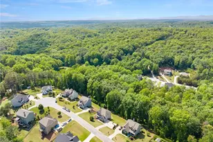 176 Whelchel Valley Dr, Dawsonville, GA 30534 - Photo 55