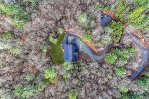 641 Bryant Farm Ln, Ellijay, GA 30540 - Photo 59