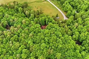 15 Mississippi Ln, Tiger, GA 30576 - Photo 51