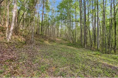 6668 Belton Bridge Road, Lula, GA 30554 - Photo 31
