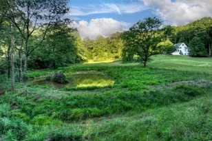 247 Craigtown Rd, Ellijay, GA 30540 - Photo 87
