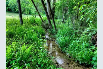 247 Craigtown Road, Ellijay, GA 30540 - Photo 91