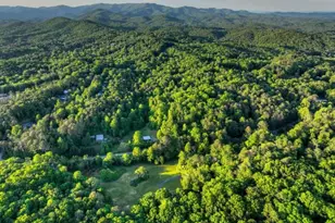 247 Craigtown Rd, Ellijay, GA 30540 - Photo 95