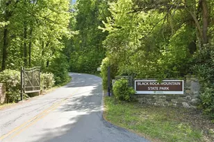 46 Spartan Ln, Rabun Gap, GA 30568 - Photo 89