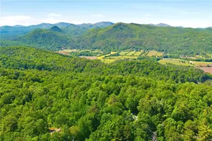 46 Spartan Ln, Rabun Gap, GA 30568 - Photo 87