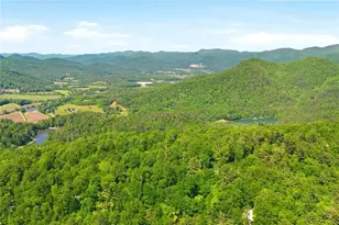 46 Spartan Ln, Rabun Gap, GA 30568 - Photo 83