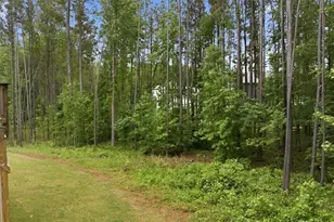 136 Ledgemont Wy, Acworth, GA 30101 - Photo 59