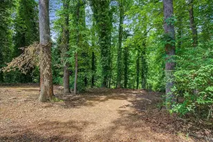 1583 Fieldgreen Overlook, Stone Mountain, GA 30088 - Photo 35