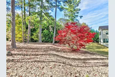 640 Maddie Way, Marietta, GA 30068 - Photo 43