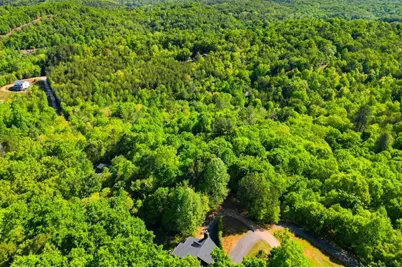 303 Pine Forest Loop, Blue Ridge, GA 30513 - Photo 53