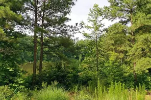 12803 Doe Dr, Milton, GA 30004 - Photo 45