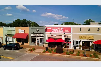 104 Oakchase Park Lane, Hampton, GA 30228 - Photo 29