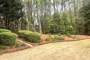 217 Amelia Way, Loganville, GA 30052 - Photo 23
