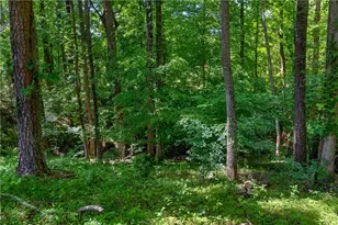 3955 Ineal Dr, Cumming, GA 30028 - Photo 81