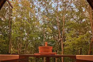 3018 Oakey Mountain Rd, Clarkesville, GA 30523 - Photo 19