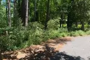 0 Windsor Way, Newnan, GA 30263 - Photo 7