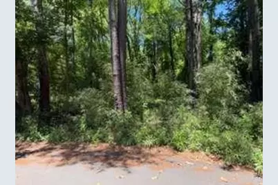 0 Windsor Way, Newnan, GA 30263 - Photo 9