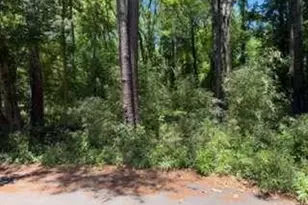 0 Windsor Way, Newnan, GA 30263 - Photo 9