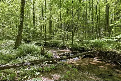 4956 Burnt Mountain Road, Ellijay, GA 30536 - Photo 43