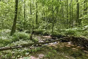 4956 Burnt Mountain Rd, Ellijay, GA 30536 - Photo 43