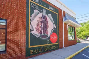 190 Chestnut St, Ball Ground, GA 30107 - Photo 53