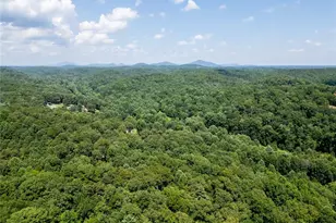 205 Perkins Rd, Dahlonega, GA 30533 - Photo 57