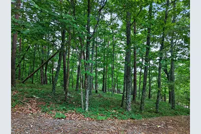 0 Ridgeside Court, Jasper, GA 30143 - Photo 21