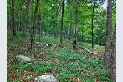 0 Ridgeside Court, Jasper, GA 30143 - Photo 3