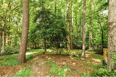 193 Lake Forrest Lane NE, Atlanta, GA 30342 - Photo 57
