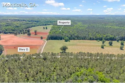 0 Hwy 11, Monticello, GA 31064 - Photo 3