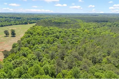 0 Hwy 11, Monticello, GA 31064 - Photo 15