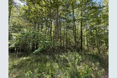 467 N Raburn Road, Bremen, GA 30110 - Photo 5