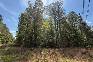 467 N Raburn Rd, Bremen, GA 30110 - Photo 1